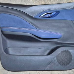 Forro De Porta Dianteiro Esquerdo Byd Mini Dolphin 2025 Azul