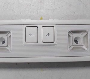 Luz Teto Cortesia Traseira Vw Passat Highline Tsi 2019