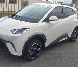 Sucata Byd Mini Dolphin 2025