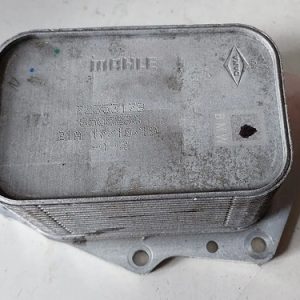 Trocador Calor Resfriador Bmw X2 1.5 2021 72353179