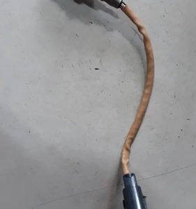 Sonda Lambda Discovery Sport 2.0 Gasolina 2019 Gx53-9g444-bb