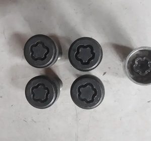 Parafuso Segredo Anti-furto Bmw X1 2016/2017
