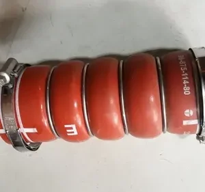 Mangueira Intercooler C4 Cactus 1.6 16v Thp 2019