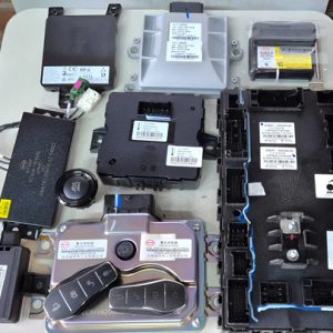 Kit Injeção Chave Módulo Byd Mini Dolphin 2025