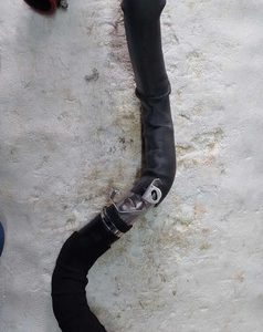 Mangueiraintercooler Discovery Sport Hse.0 2015
