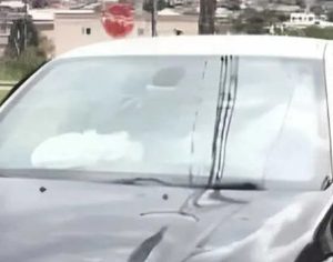 Parabrisa Vidro Renault Captur 2018 Original Usado Fumê